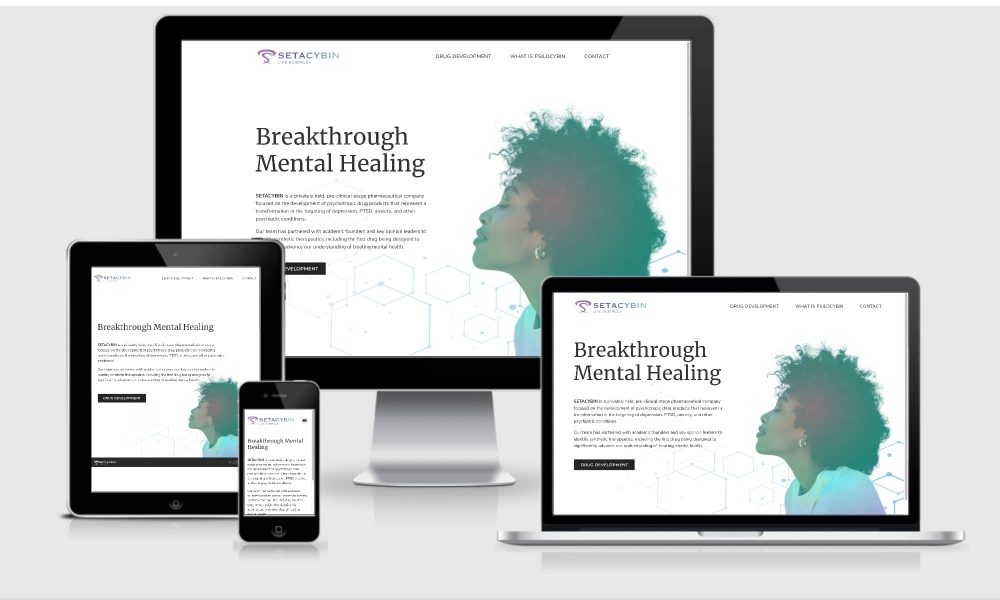 portfolio-cover-2021-setacybin